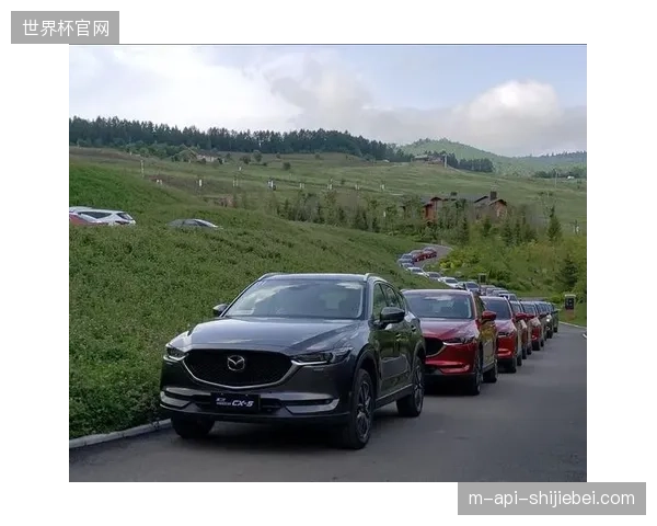 实时数据接口接入率提升至82%,世界杯智慧场馆短视频用户参与度显著对齐商业指标 实时数据接口接入率提升至82%,世界杯智慧场馆短视频用户参与度显著对齐商业指标